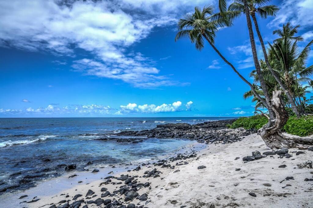 Newly Upgraded 1Br Unit Near Beach Max Of 5 Guests Kailua-Kona Buitenkant foto